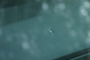 Windshield Chip before it was fixed by Alien Car Care